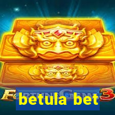 betula bet